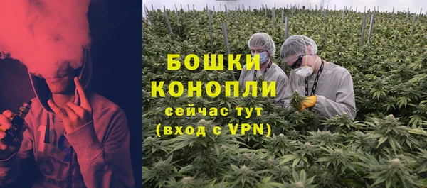 МДПВ Козельск