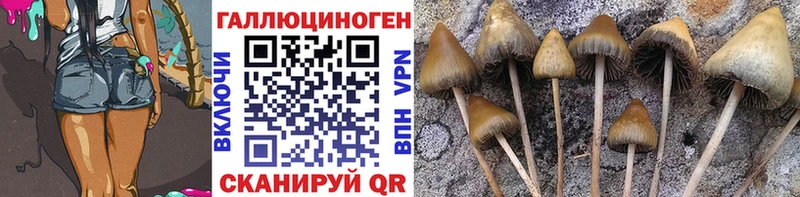 Галлюциногенные грибы MAGIC MUSHROOMS  hydra ссылка  Михайловка 