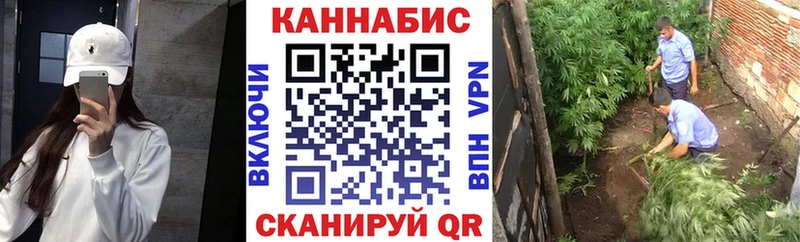 Конопля White Widow  mega как зайти  Михайловка  где купить  